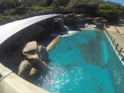 SYDNEY -zoo