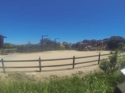 SYDNEY -zoo