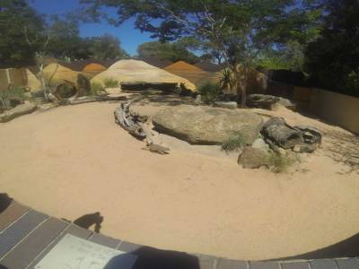 SYDNEY -zoo