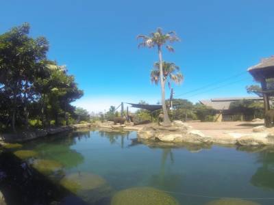 SYDNEY -zoo