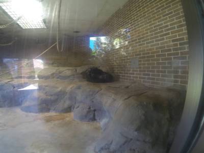 SYDNEY -zoo