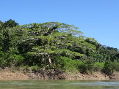 rive entre Guatemala et Mexico