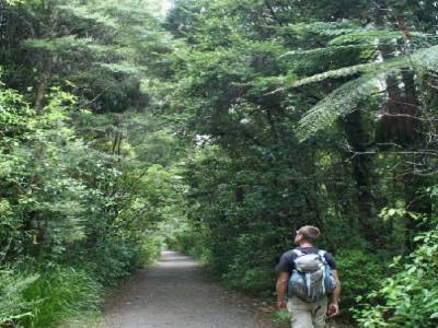 Yohann dans la forêt enchantée