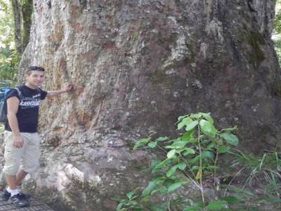 Yohann devant le seigneur de la forêt