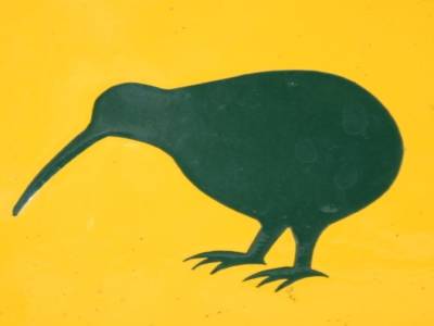 attention Kiwi!