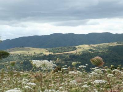 les champs et les montagnes