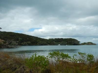 bay of islands