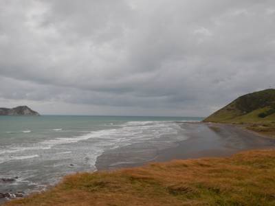les falaises de East Cape