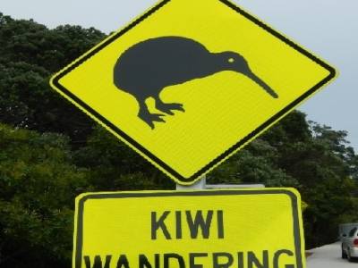 attention, traversée de Kiwis