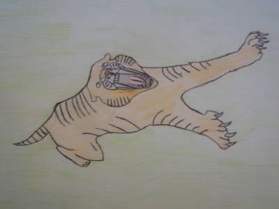 J'aimerais être un tigre à dents de sabre pour vivre à l'époque de la préhistoire (Lucas)