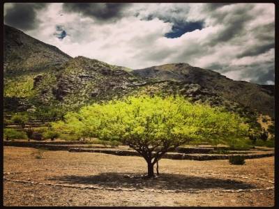 Las ruinas de Quilmes
