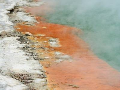 champagne pool