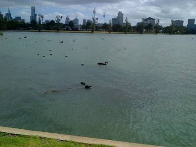 MELBOURNE - Albert Park