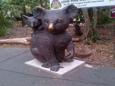 BRISBANE - Lone Pine