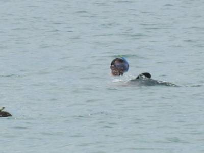 Yohann et Pascal en tuba... au milieu des dauphins