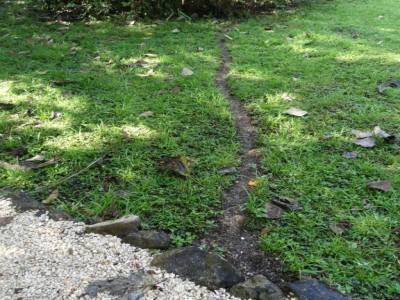 autoroute a fourmis