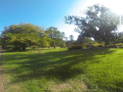 BRISBANE - Botanic Park