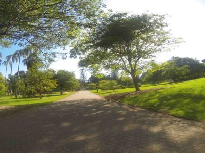 BRISBANE - Botanic Park