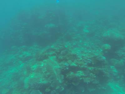 CAIRNS - Grande Barrière de Corail