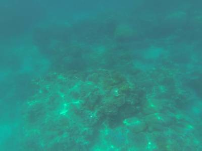 CAIRNS - Grande Barrière de Corail