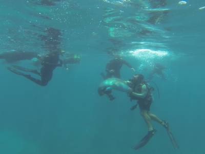 CAIRNS - Grande Barrière de Corail