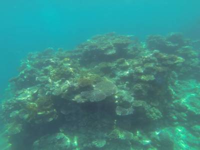 CAIRNS - Grande Barrière de Corail