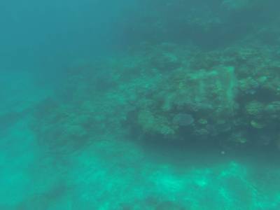 CAIRNS - Grande Barrière de Corail