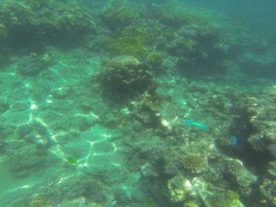 CAIRNS - Grande Barrière de Corail