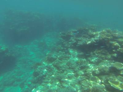 CAIRNS - Grande Barrière de Corail