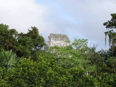 Tikal