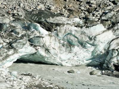 le glacier Fox