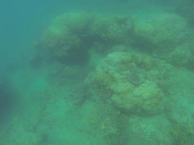 AIRLIE BEACH - Withsundays