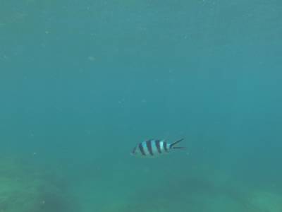 AIRLIE BEACH - Withsundays