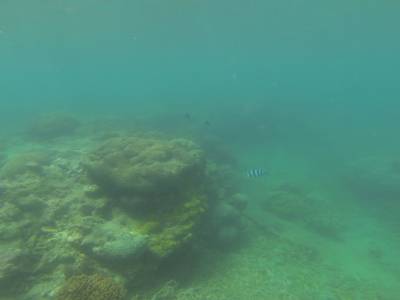 AIRLIE BEACH - Withsundays