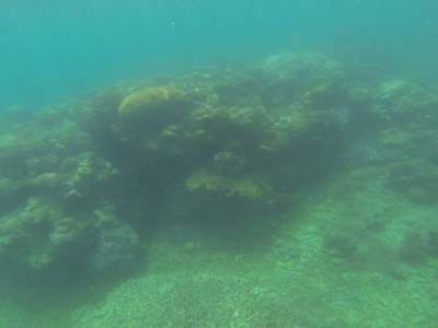 AIRLIE BEACH - Withsundays