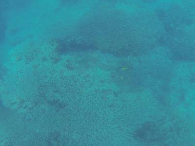 AIRLIE BEACH - Withsundays