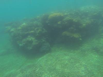 AIRLIE BEACH - Withsundays