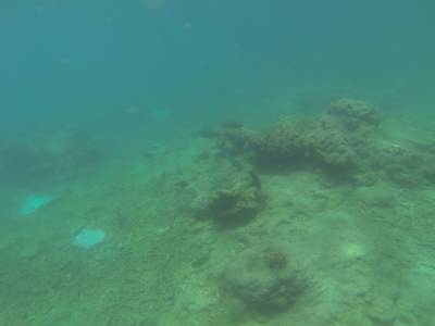 AIRLIE BEACH - Withsundays