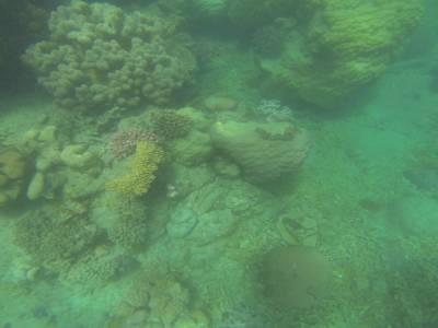 AIRLIE BEACH - Withsundays
