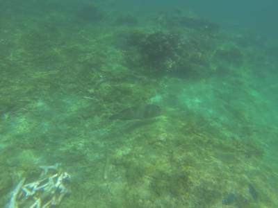 AIRLIE BEACH - Withsundays