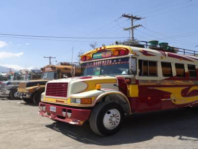 bus local