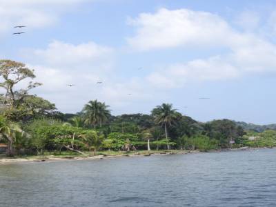 livingston