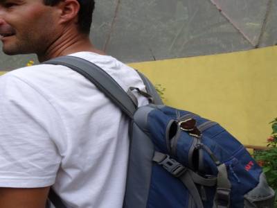 Papillon Atitlan