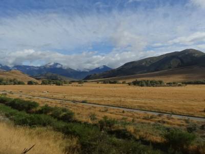 train qui parcoures les alps de NZ pour rejoindre la ville de Greynouth sur la cote west