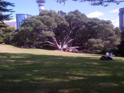 AUCKLAND - Albert Park