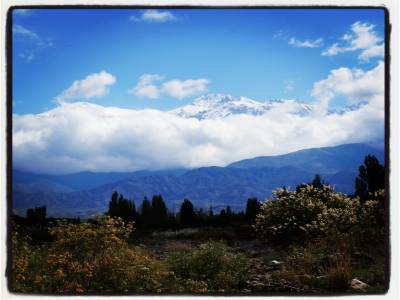 Potrerillos