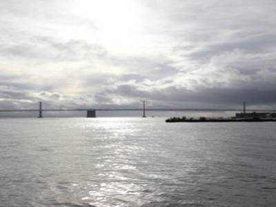 Alcatraz 2014