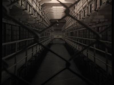 Alcatraz 2014