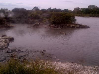 ROTORUA - parc Tehokowhitu-a-tu