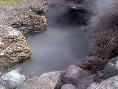 ROTORUA - parc Tehokowhitu-a-tu